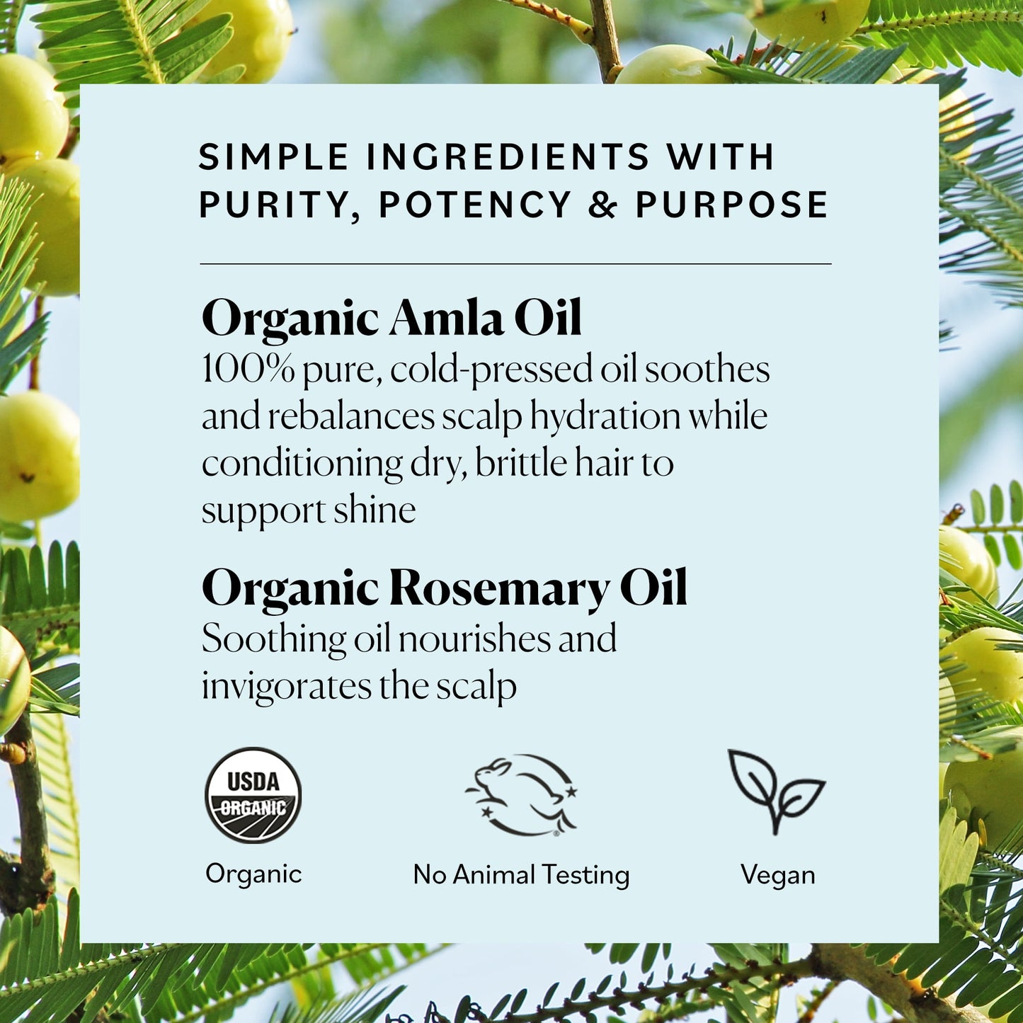 Sky Organics Organic Amla and Rosemary Oil for Conditioning Dry and Brittle Hair, 2 fl oz