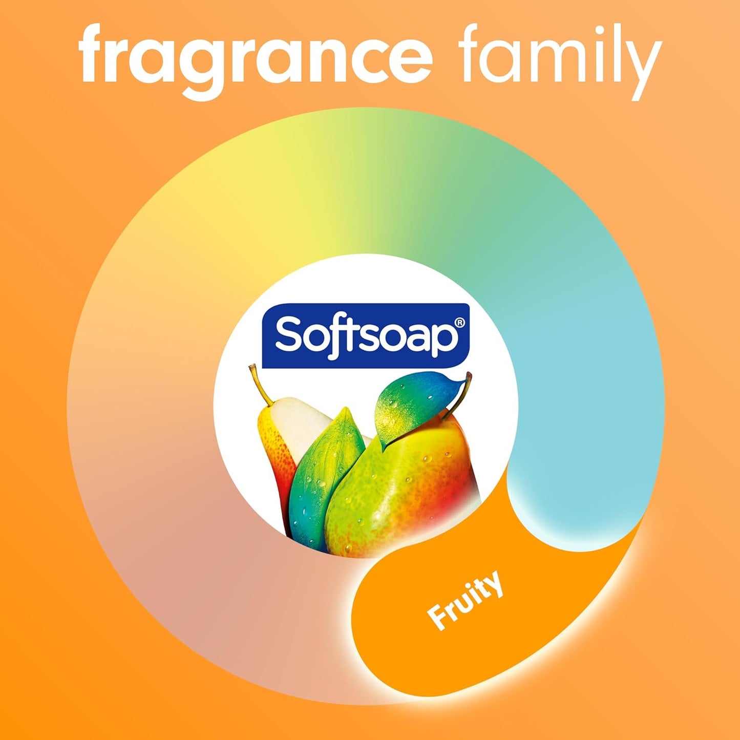 Softsoap Antibacterial Liquid Hand Soap Pump, Crisp Clean - 11.25 fluid ounce