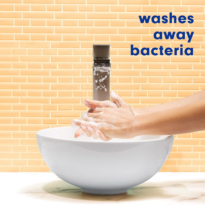 Softsoap Antibacterial Liquid Hand Soap Pump, Crisp Clean - 11.25 fluid ounce