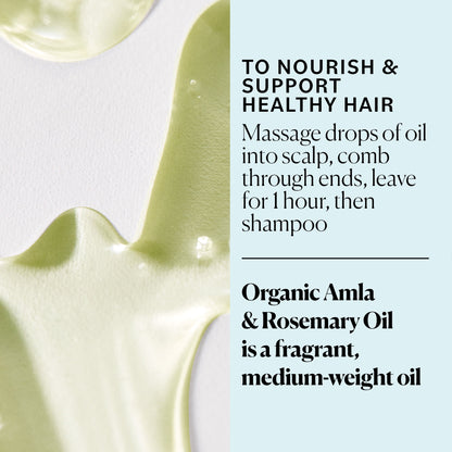 Sky Organics Organic Amla and Rosemary Oil for Conditioning Dry and Brittle Hair, 2 fl oz