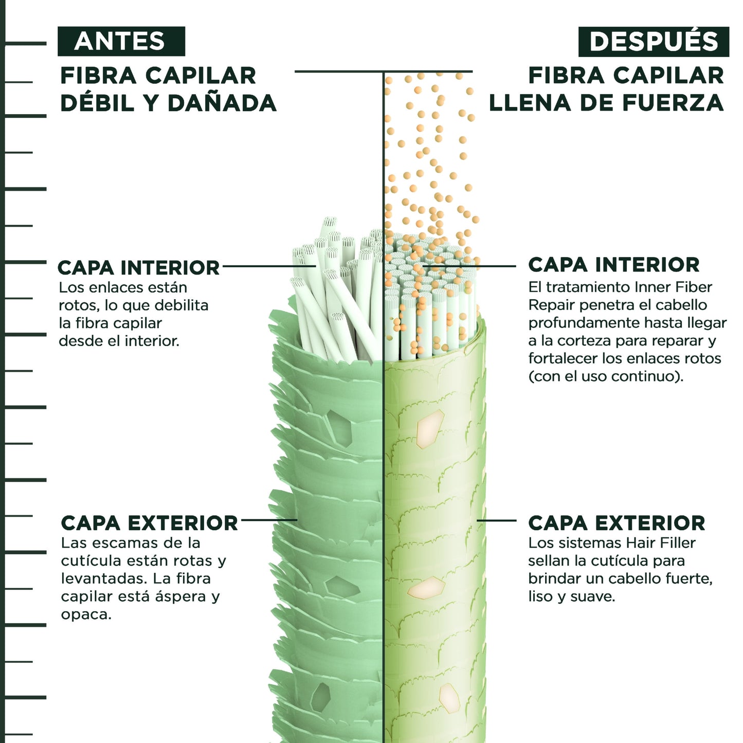 Garnier Fructis Hair Filler Color Repair Squeeze Conditioner with Ceramide, 10.1 fl oz